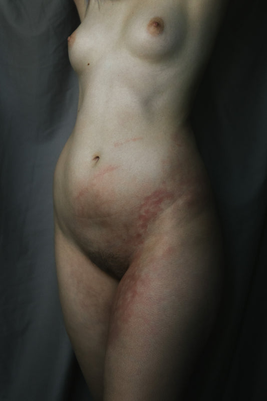 Torso