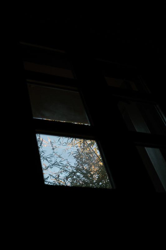 A View From A Room