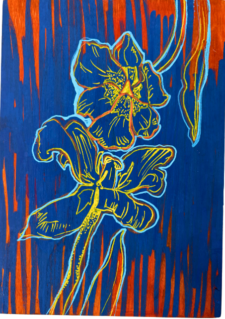 Iris